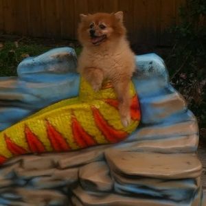 Meet your Posher, Andrew